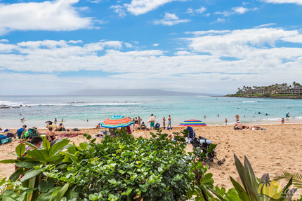 Napili Bay Resort | Deals on Napili Bay Resort Condo Rentals