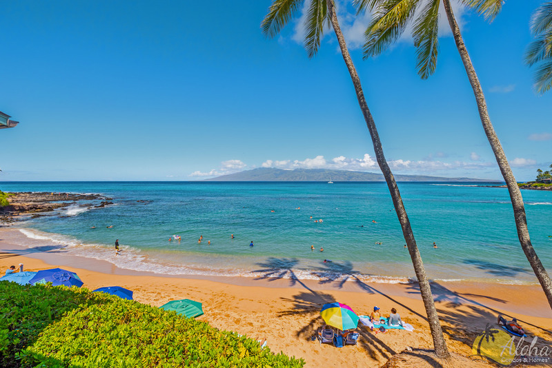 Napili Bay Resort For Sale